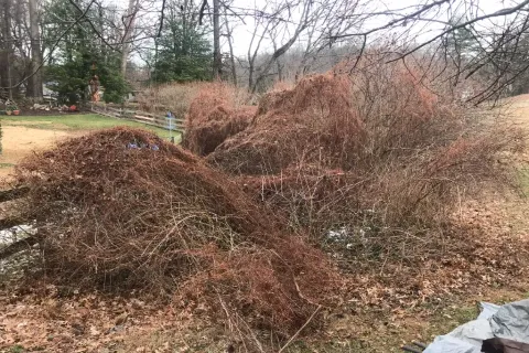Brush and Debris Removal Services in Falls Church VA