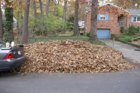 Leaf Removal Services in Falls Church VA