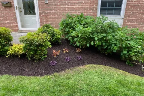 Mulching and Edging Services in Falls Church VA