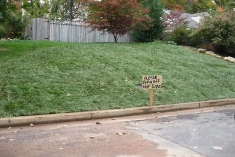 Sod Installation Services in Falls Church VA